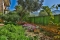 villa_dundar_garden