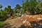 villa_dundar_garden (2)