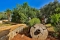 villadundar_garden